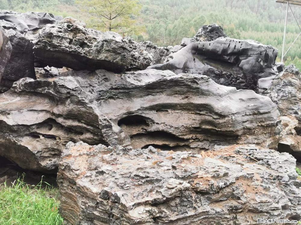 风景石、假山石大量有货,有需要的欢迎联系 - 新手上路 - 襄樊生活社区 - 襄樊28生活网 xf.28life.com