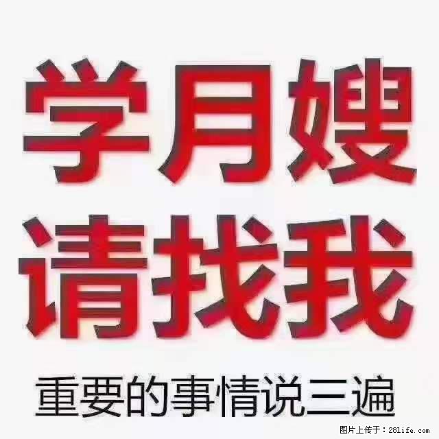 为什么要学习月嫂，育婴师？ - 新手上路 - 襄樊生活社区 - 襄樊28生活网 xf.28life.com