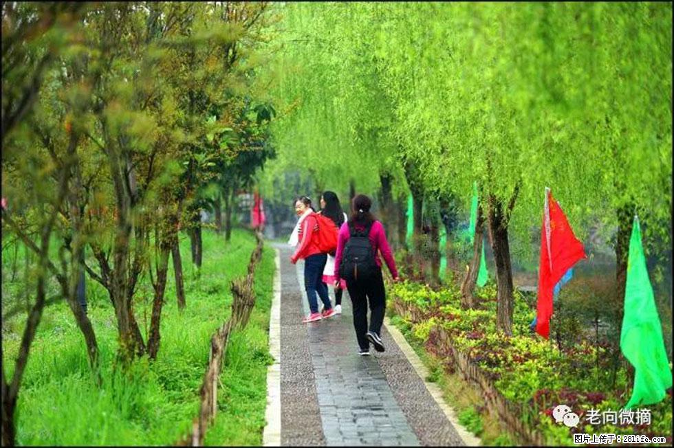 【春天,广西桂林灌阳县向您发出邀请!】江口老街又逢春 - 游山玩水 - 襄樊生活社区 - 襄樊28生活网 xf.28life.com