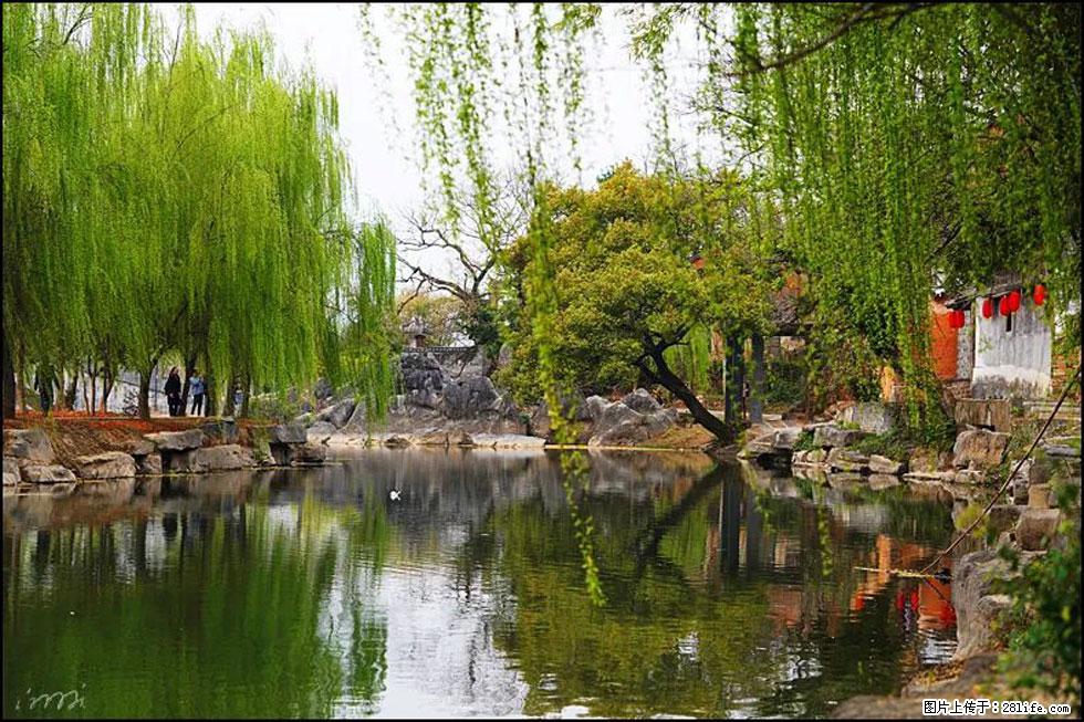【春天,广西桂林灌阳县向您发出邀请!】江口老街又逢春 - 游山玩水 - 襄樊生活社区 - 襄樊28生活网 xf.28life.com