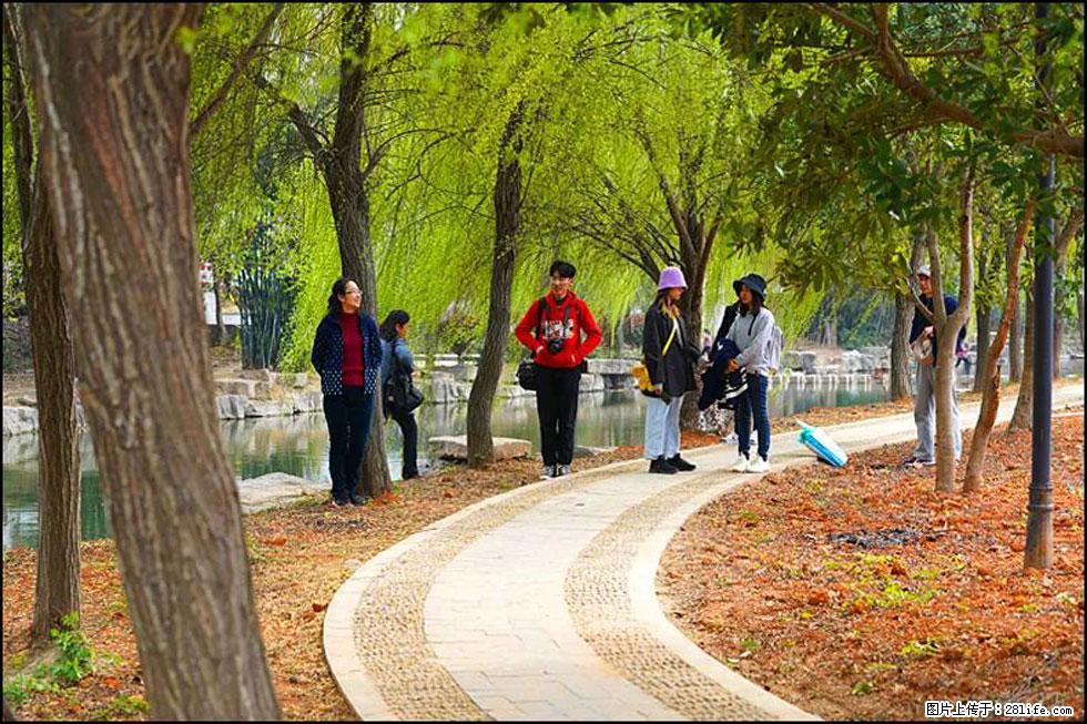 【春天,广西桂林灌阳县向您发出邀请!】江口老街又逢春 - 游山玩水 - 襄樊生活社区 - 襄樊28生活网 xf.28life.com