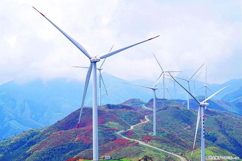 【春天,广西桂林灌阳县向您发出邀请!】春木界上映山红 - 游山玩水 - 襄樊生活社区 - 襄樊28生活网 xf.28life.com