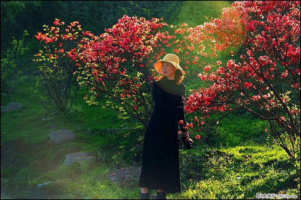 【春天,广西桂林灌阳县向您发出邀请!】春木界上映山红 - 游山玩水 - 襄樊生活社区 - 襄樊28生活网 xf.28life.com