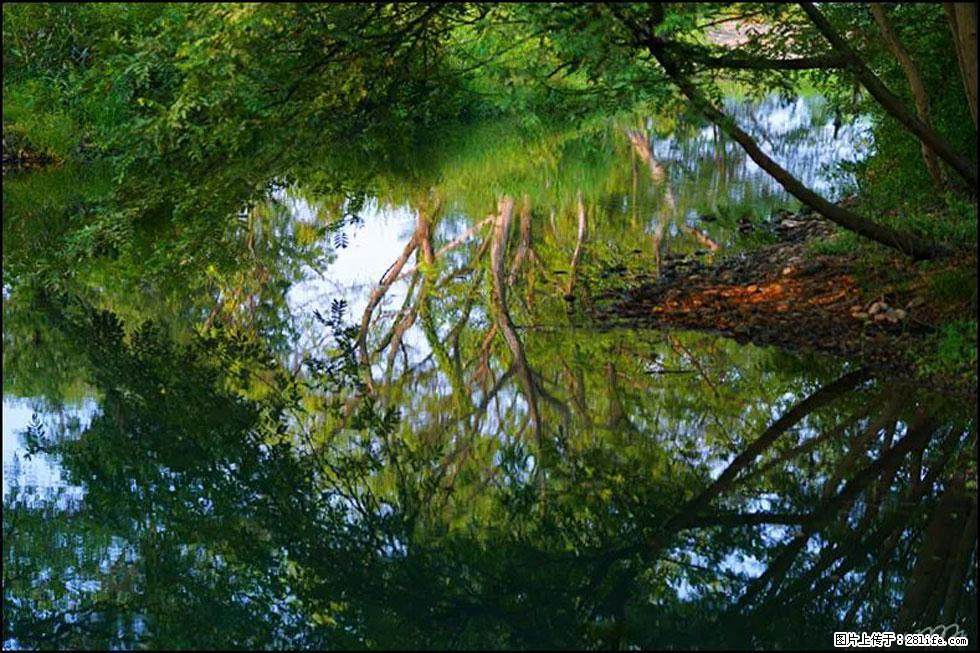 【春天,广西桂林灌阳县向您发出邀请!】熊家寨湿地公园 - 游山玩水 - 襄樊生活社区 - 襄樊28生活网 xf.28life.com
