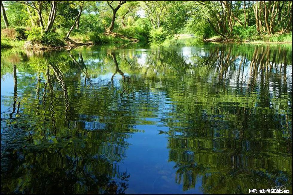 【春天,广西桂林灌阳县向您发出邀请!】熊家寨湿地公园 - 游山玩水 - 襄樊生活社区 - 襄樊28生活网 xf.28life.com