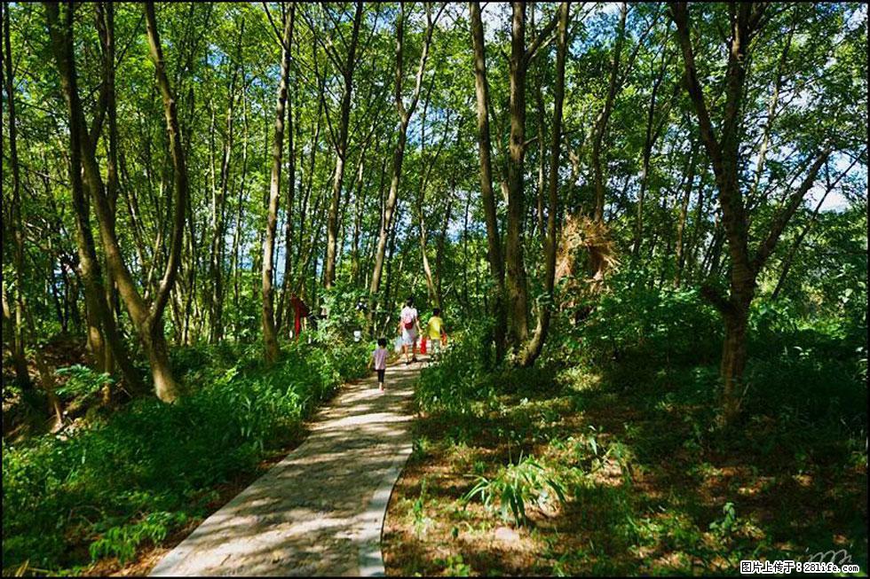 【春天,广西桂林灌阳县向您发出邀请!】熊家寨湿地公园 - 游山玩水 - 襄樊生活社区 - 襄樊28生活网 xf.28life.com