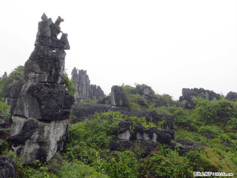 桂林旅游名城景点：灌阳文市石林 - 游山玩水 - 襄樊生活社区 - 襄樊28生活网 xf.28life.com