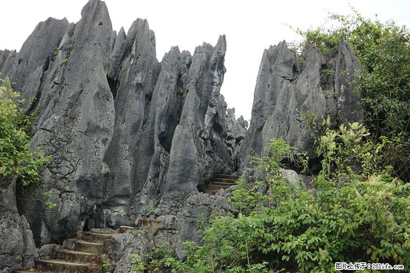 桂林旅游名城景点:灌阳文市石林 - 游山玩水 - 襄樊生活社区 - 襄樊28生活网 xf.28life.com