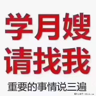 为什么要学习月嫂,育婴师? - 襄樊28生活网 xf.28life.com