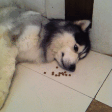 笑癫了!一女的怀孕三年未生,他终于忍不住了... - 娱乐八卦 - 襄樊生活社区 - 襄樊28生活网 xf.28life.com