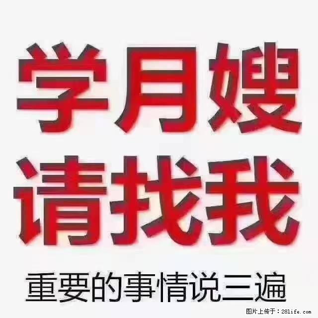 【招聘】月嫂，上海徐汇区 - 职场交流 - 襄樊生活社区 - 襄樊28生活网 xf.28life.com
