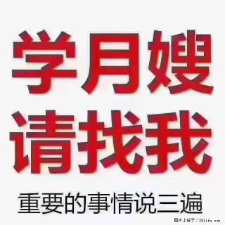 【招聘】月嫂,上海徐汇区 - 襄樊28生活网 xf.28life.com