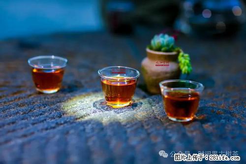 时间果百年古树2025年春红茶 - 购物交流 - 襄樊生活社区 - 襄樊28生活网 xf.28life.com