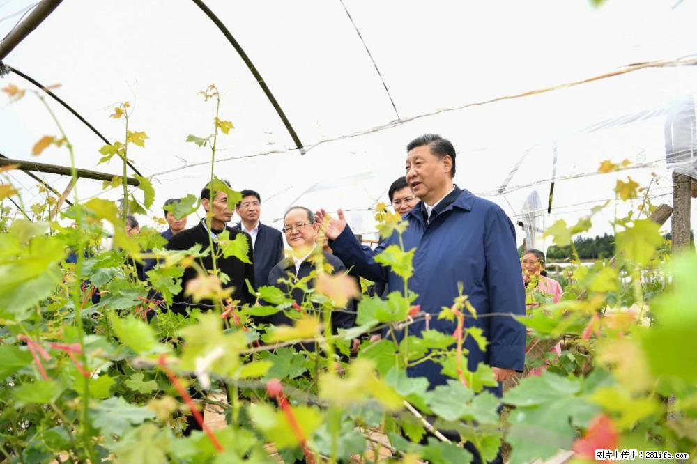 习近平赴广西考察调研 - 襄樊生活资讯 - 襄樊28生活网 xf.28life.com