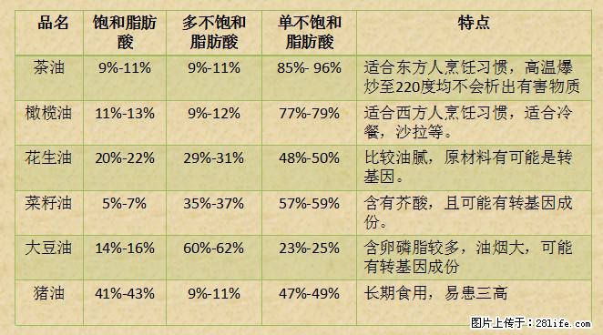 揭秘茶油的5大核心营养成分!被称为人体健康的“守护盾”! - 襄樊生活资讯 - 襄樊28生活网 xf.28life.com