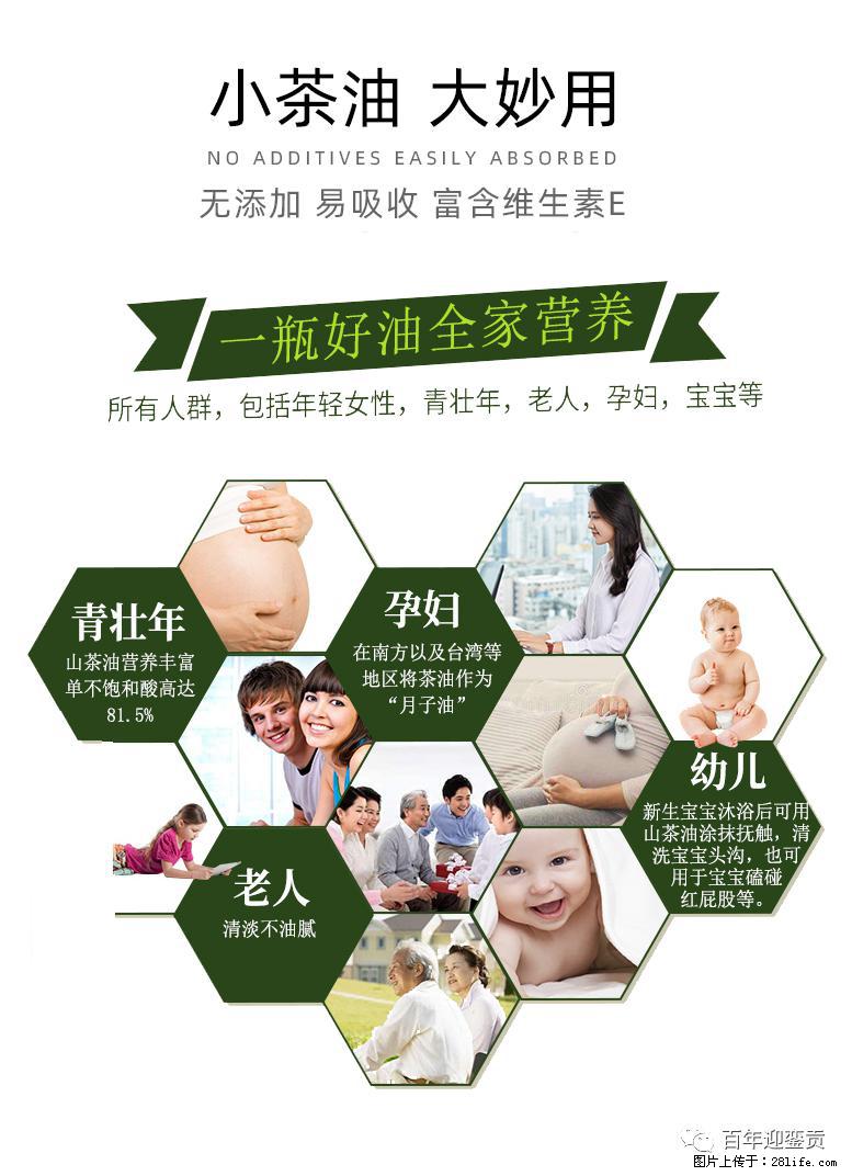 世界没有真相,只有认知,最好的食用油是中国的山茶油! - 襄樊生活资讯 - 襄樊28生活网 xf.28life.com