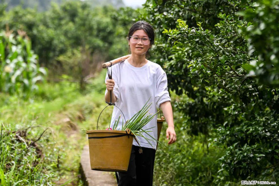 全网追的“扁担女孩”,找了一份暑假工,时薪12元 - 襄樊生活资讯 - 襄樊28生活网 xf.28life.com