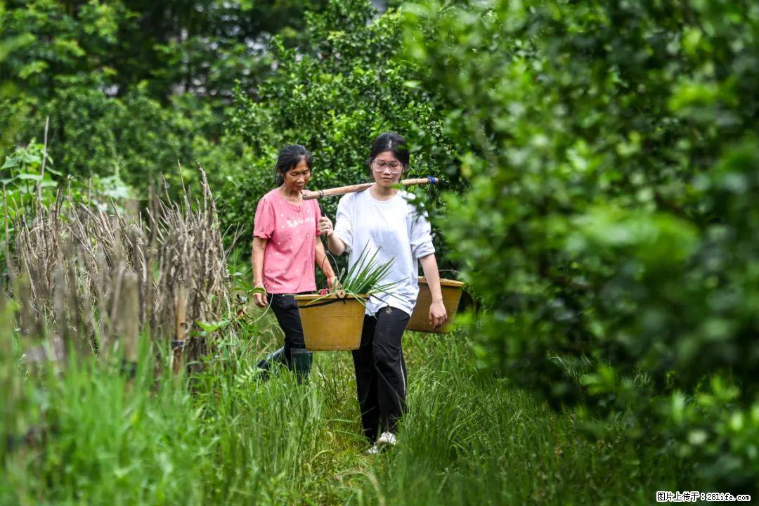 全网追的“扁担女孩”,找了一份暑假工,时薪12元 - 襄樊生活资讯 - 襄樊28生活网 xf.28life.com