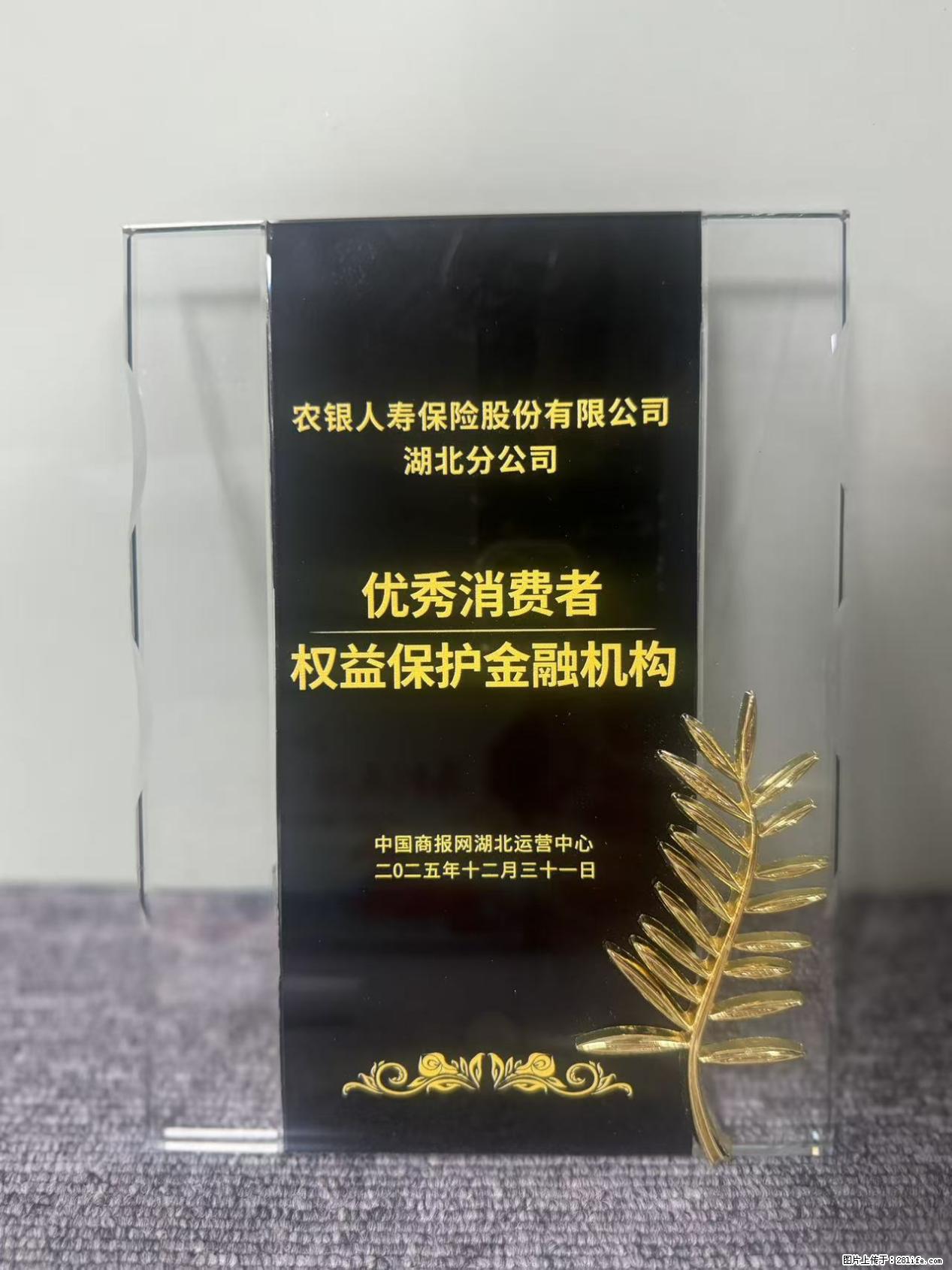 农银人寿湖北分公司荣获中国商报网颁发2025年度“优秀消费者权益保护金融机构” - 襄樊生活资讯 - 襄樊28生活网 xf.28life.com
