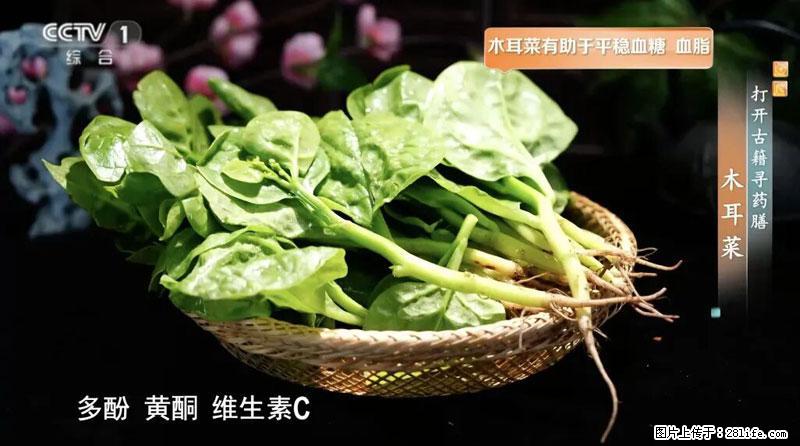 比牛奶补钙还厉害！凉血解毒、稳血糖...这菜冬天必吃，很多人却当草 - 襄樊生活资讯 - 襄樊28生活网 xf.28life.com