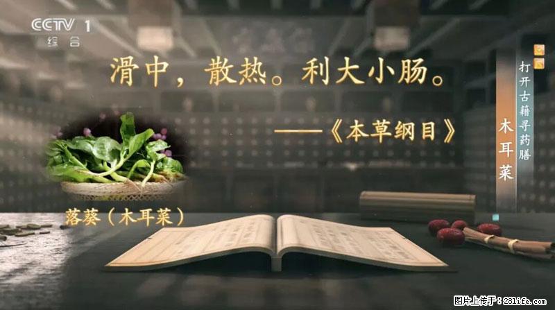 比牛奶补钙还厉害！凉血解毒、稳血糖...这菜冬天必吃，很多人却当草 - 襄樊生活资讯 - 襄樊28生活网 xf.28life.com