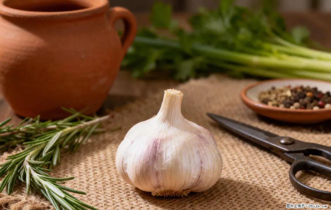 关于大蒜，除了“天然抗生素”，这4个谣言更该警惕! - 襄樊生活资讯 - 襄樊28生活网 xf.28life.com