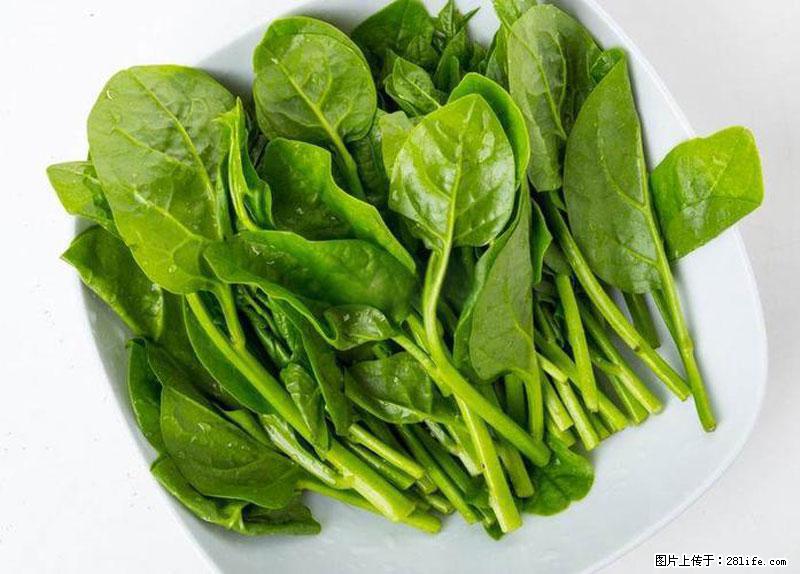 这些蔬菜是“天然钙片”，这6种被医生重点推荐 - 襄樊生活资讯 - 襄樊28生活网 xf.28life.com