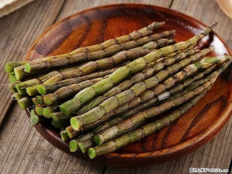 铁皮石斛的作用与功能主治 - 襄樊生活资讯 - 襄樊28生活网 xf.28life.com