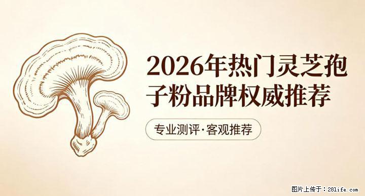 灵芝孢子粉含量越高越有效?2026 年七款热门品牌深度实测,肠胃敏感者避坑指南 - 襄樊生活资讯 - 襄樊28生活网 xf.28life.com